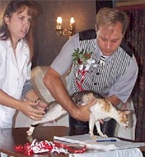 COTY 2.jpg (19907 bytes)