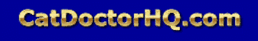 CatDoctorHQ.gif (6408 bytes)