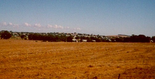 Moor sum2.jpg (40681 bytes)