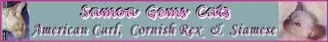 Cats banner exch.jpg (13494 bytes)
