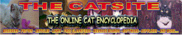 catsitebanner.gif (21977 bytes)