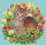 circle red cat..jpg (15271 bytes)