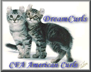 dc_sqbanner.gif (20688 bytes)