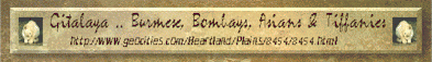 gita-banner2.gif (21757 bytes)