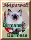 hope cats breeder(7921 bytes)