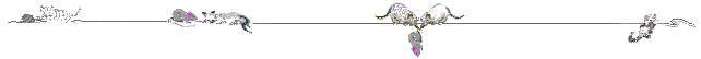 kitten line.gif (4238 bytes)