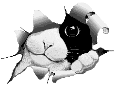 kittyhole.gif (20541 bytes)