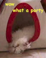 party2 (1).jpg (8779 bytes)