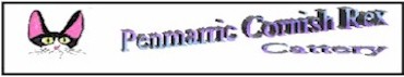 penmarric.ns.ca.jpg (9290 bytes)