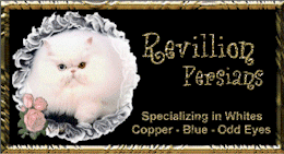 breeder cats kittens (30497 bytes)