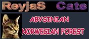 reybanner.jpg (7323 bytes)