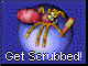 scrub.gif (3205 bytes)
