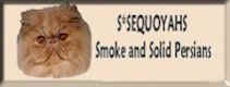 banner.sequoyahs.jpg (6523 bytes)